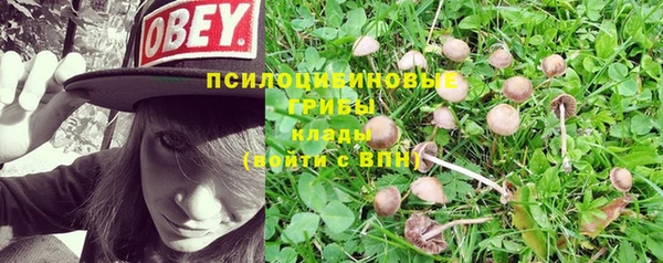 MDMA Верхний Тагил