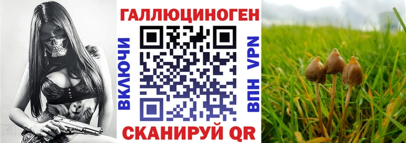 Псилоцибиновые грибы мухоморы  купить закладку  гидра tor  Рузаевка 