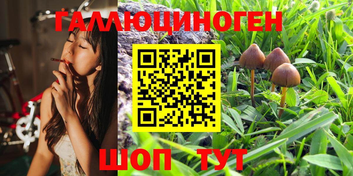Галлюциногенные грибы мухоморы  Вход с VPN  Галлюциногенные грибы Magic Shrooms  Рузаевка 